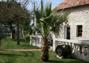 Gite du Médoc en Gironde - Logements traditionnels et végétation luxuriante